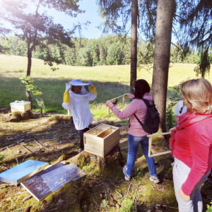 Bienenschnupperkurs